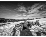 DSC_0599-Edit