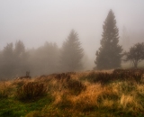 810_4532-Edit