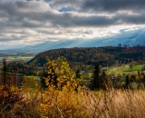 810_4914-Edit