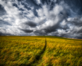 850_0274-Edit-Edit
