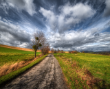 850_0286-Edit-3