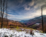 850_2002-Edit