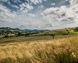 Krajina u hukvaldské obory.