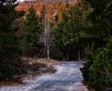 DSC_3985-Edit