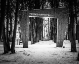 NEF_1166-Edit-3