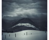 NEF_1185-Edit-3-topaz-denoise