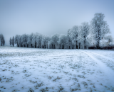 750_1769-Edit-4-Edit