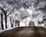 810_1379-Edit-Edit-topaz-sharpen