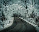 810_1431-Edit-2