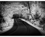 810_1437-Edit-2-Edit