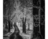 810_1477-Edit-2