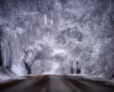 810_1526-Edit-topaz-sharpen-Edit-3