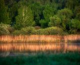 810_2449-Edit