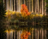 810_4809-Edit