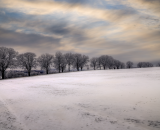 850_6754PS-Edit-Edit-2-topaz-denoise