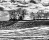 DSC_4673-Edit