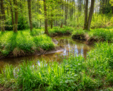 850_4968-Edit-Edit-2