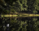 810_4342-Edit