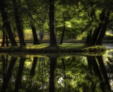 810_4356-Edit