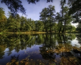 850_1354-Edit