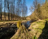 NEF_1776