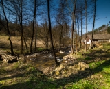 NEF_1804
