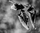 DSC_7100-Edit
