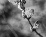 DSC_7507-Edit