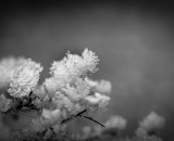 DSC_5180