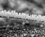 DSC_5214-Edit