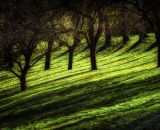 810_5917-Edit