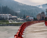 NEF_1213-Edit-2-Edit