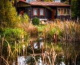 810_4825-Edit