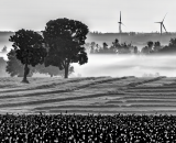 750_3926-Edit-Edit-topaz-denoise