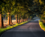 750_3936-Edit-Edit