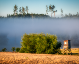 750_3966-Edit-2-Edit