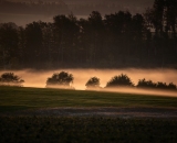 810_2308-studio