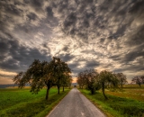 850_5890-Edit