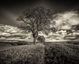 DSC_5913-Edit
