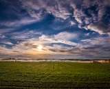 NEF_0294-studio