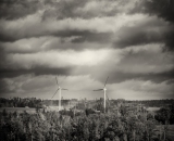 NEF_0608-Edit