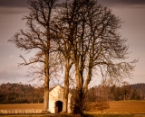 NEF_0920
