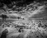 NEF_0993-Edit-3