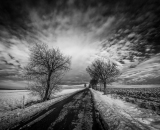 NEF_1007-Edit