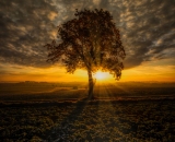 NEF_6235-Edit-Edit2