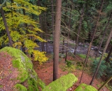 NEF_0068