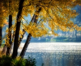 NEF_6443-Edit