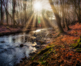 750_1599-Edit-2-Edit