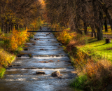 750_4460-Edit-Edit-Edit