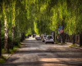 750_9427-Edit